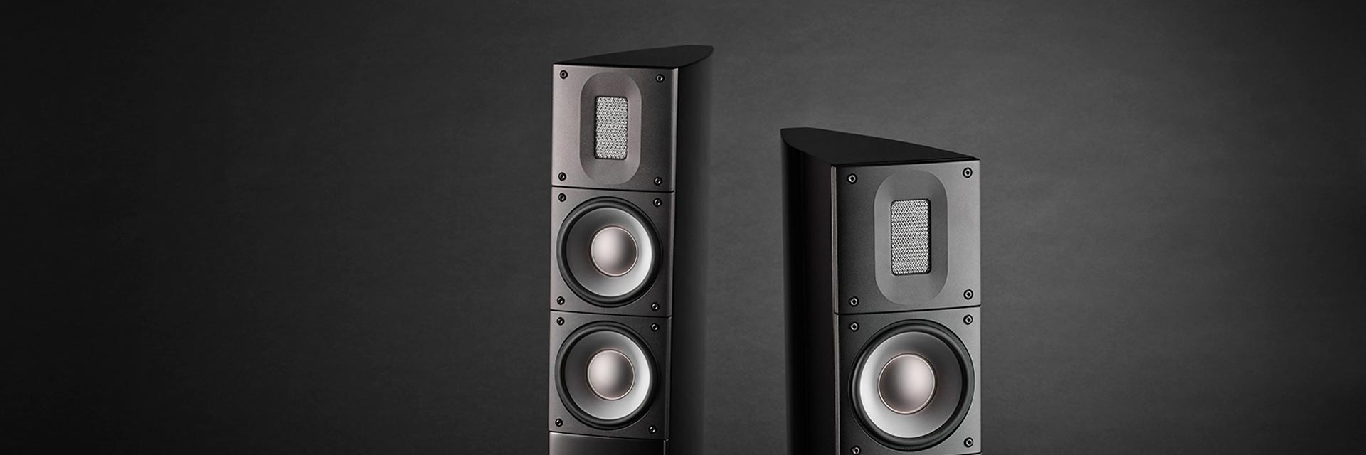 Raidho X2t loudspeaker