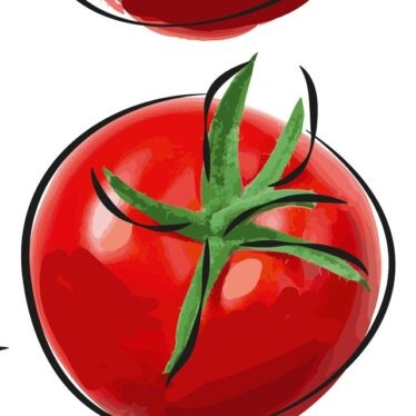 Noisy Tomato, Quiet Clematis