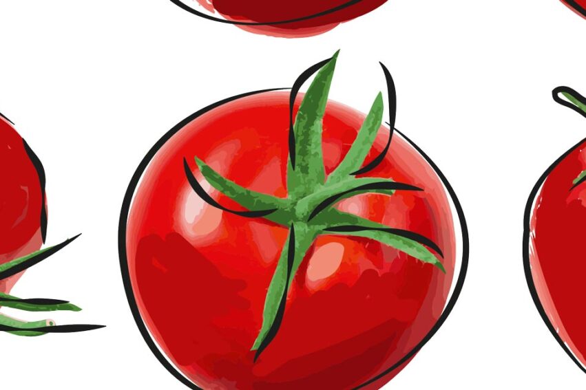 Noisy Tomato, Quiet Clematis
