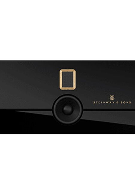 Steinway & Sons Model S Soundbar