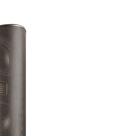 GoldenEar T66