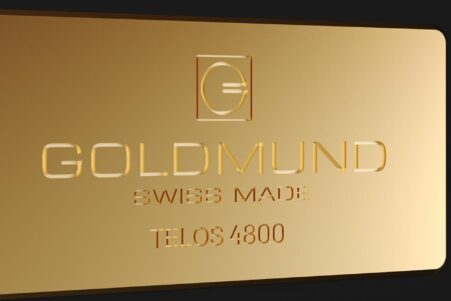 Goldmund Telos 4800
