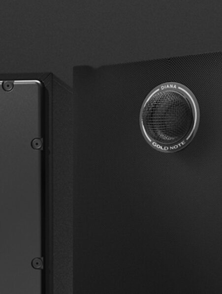 Gold Note Diana I bookshelf loudspeaker
