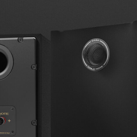 Gold Note Diana I bookshelf loudspeaker