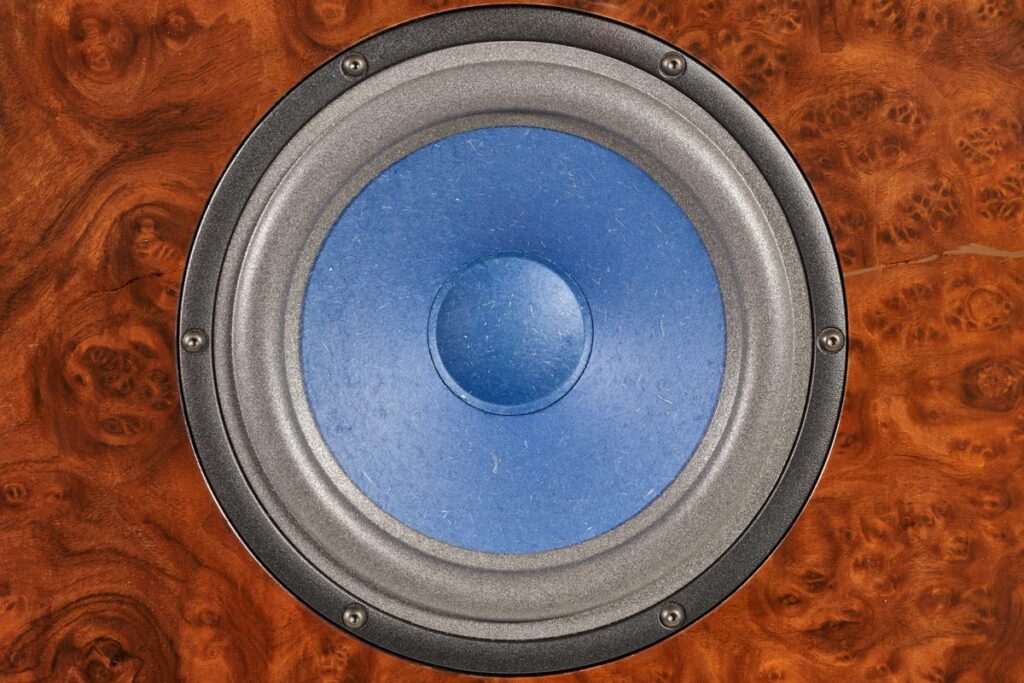 audio-note-an-e-field-coil-24