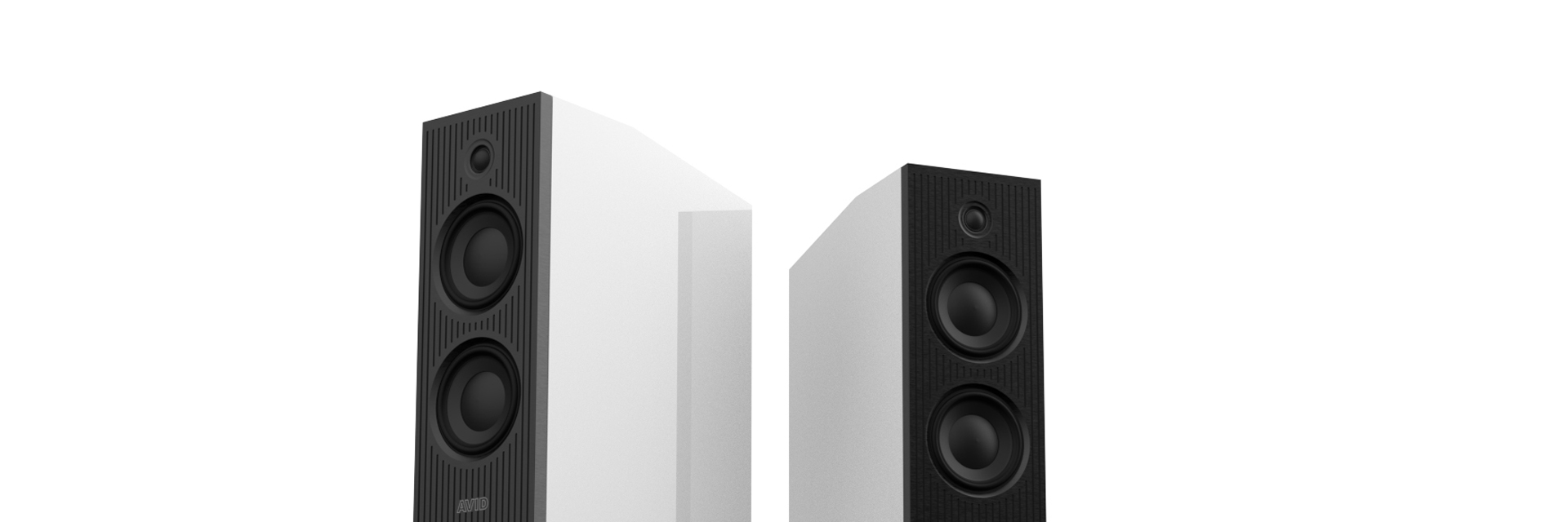 Avid Evo Two Loudspeaker
