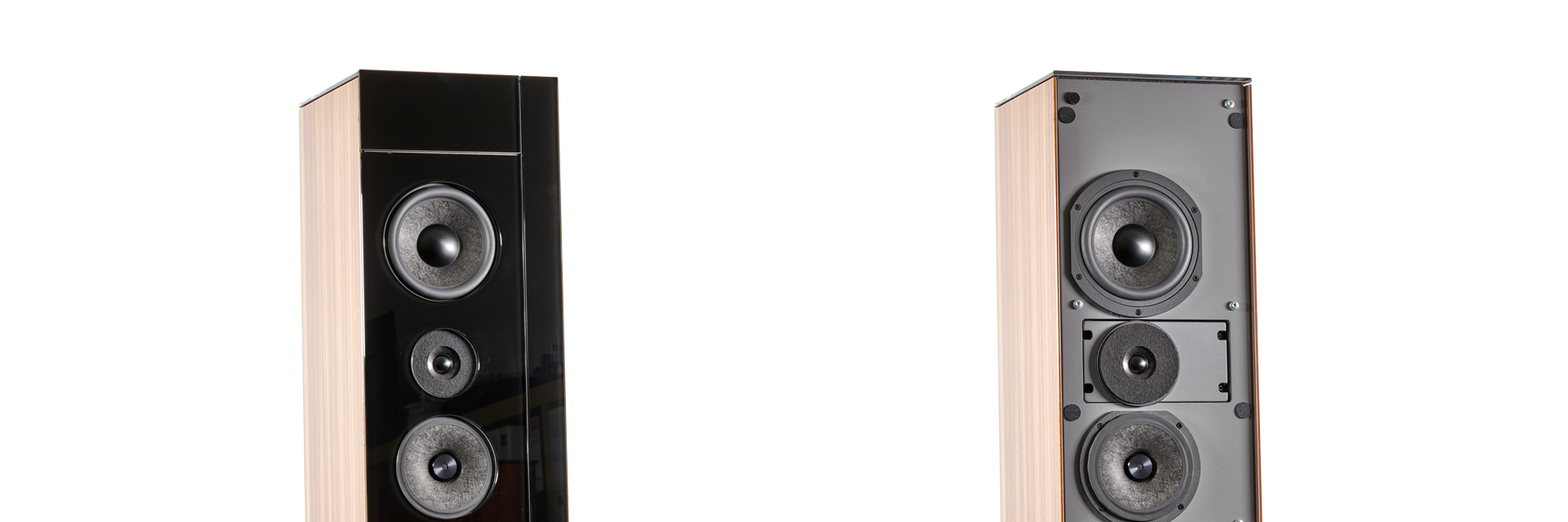 Audio Physic Cardeas 2.0 floorstanding speaker