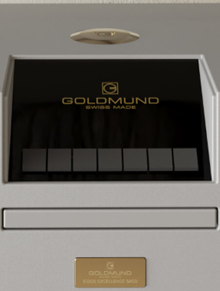 Goldmund Eidos Excellence SACD Player