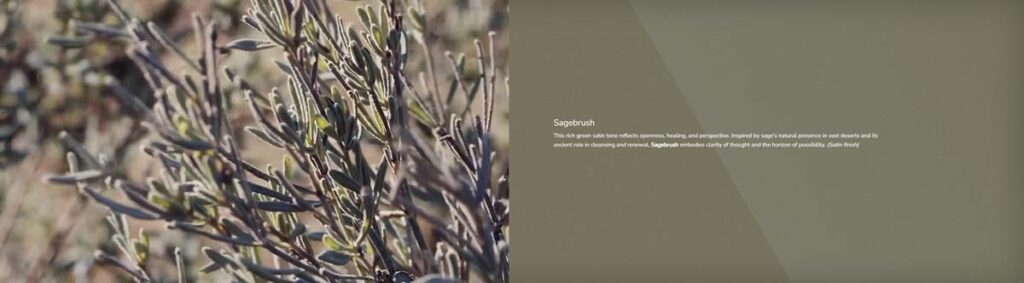 Wilson Audio Colors of the World