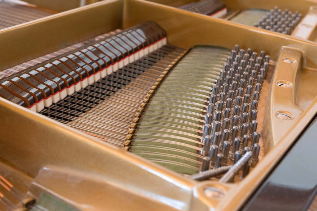 zu-gast-bei-symann-13