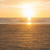 Raidho X1.6 Reference standmount speaker