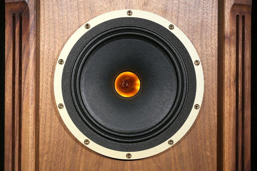 100 Years of Tannoy